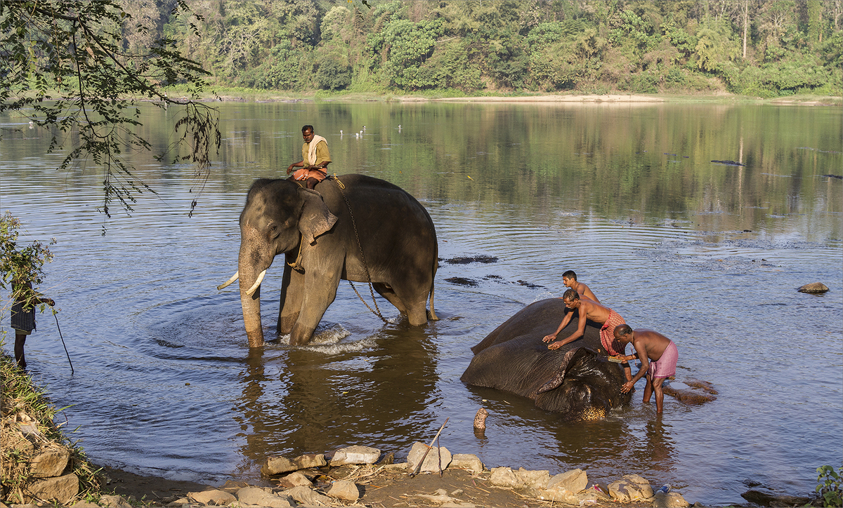 Time for a wash - Jill Sullivan